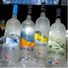 TB014 Grey Goose